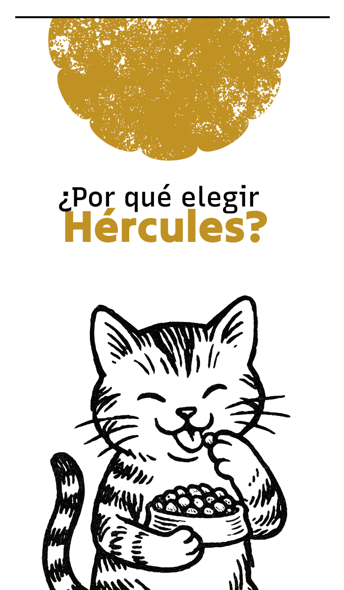 porque