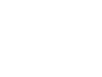 alantt